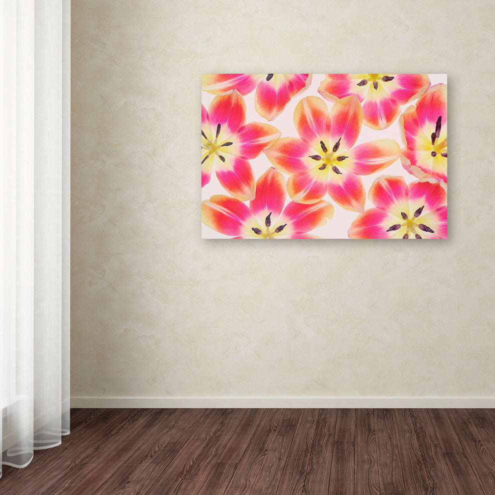 Cora Niele ''Yellow and Red Tulips'' Canvas Art