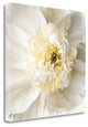 "Peony Praise" By Rebecca Swanson, Giclee Print on Gallery Wrap Canvas