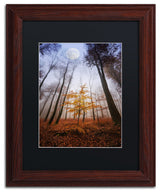 'Sentinel' Matted Framed Canvas Art by Philippe Sainte-Laudy