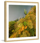 "Plant Wall" Framed Print by Karolis Janulis