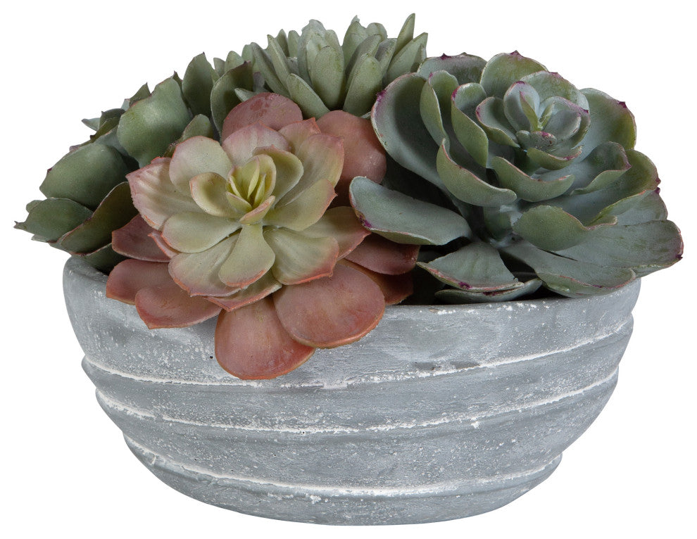 Peoria Succulent Accent