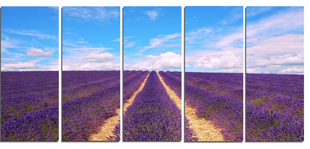"Blooming Lavender Flower Field" Landscape Wall Art Print, 5 Panels, 60"x28"
