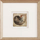 Small Shells in Distressed Warm Silver #4 Artwork