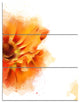 Beautiful Yellow Flower Watercolor, Flowers Canvas Wall Artwork, 28x36, 3 Panels