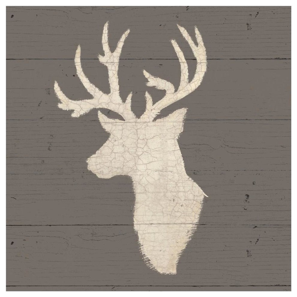 "Rustic Elegance II on Gray Wood" Digital Paper Print by James Wiens, 32"x32"