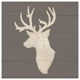 "Rustic Elegance II on Gray Wood" Digital Paper Print by James Wiens, 32"x32"
