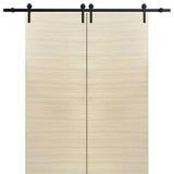 Double Barn Door 60 x 96 | Planum 0010 Natural Veneer | 13FT