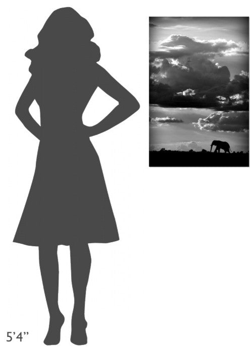 "He Walks Under An African Sky" Stretched Canvas Giclee by Wildphotoart, 20x30"