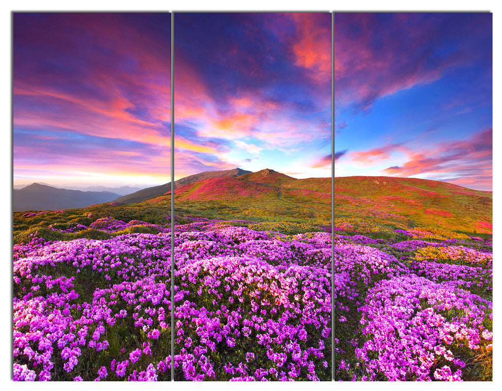 Magic Pink Rhododendron Flowers, Landscape Canvas Art Print, 36x28, 3 Panels