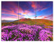 Magic Pink Rhododendron Flowers, Landscape Canvas Art Print, 36x28, 3 Panels
