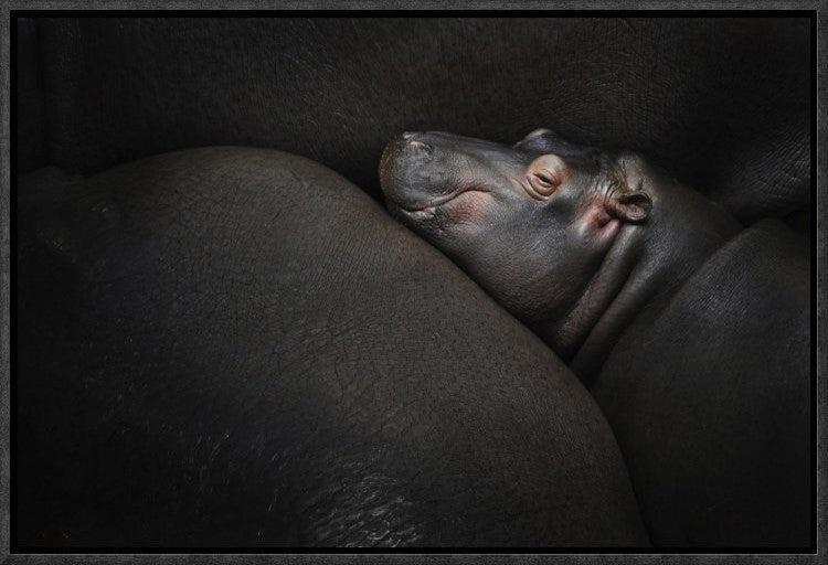 "Dreamin" Framed Canvas Giclee by Zdenek Vales, 19x13"