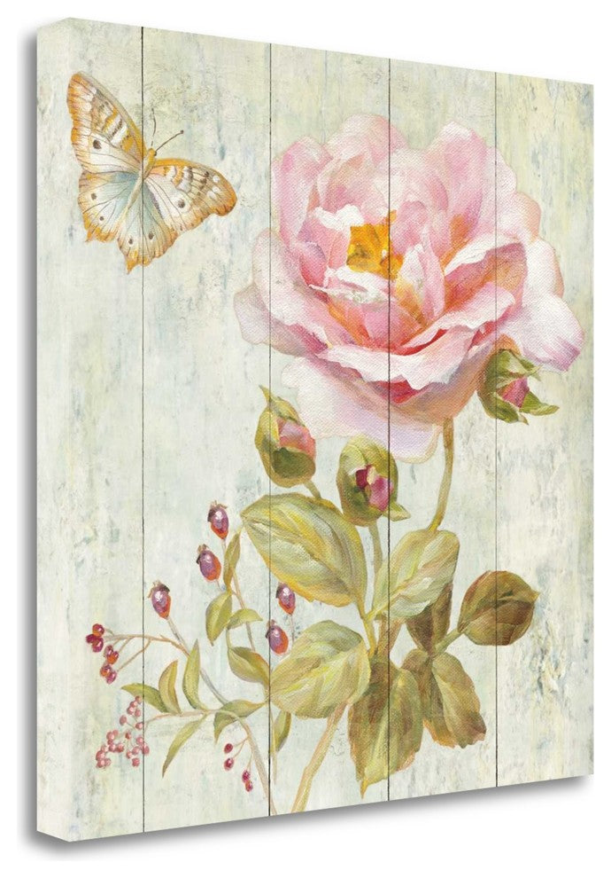 "Natural Flora II" By Danhui Nai, Giclee Print on Gallery Wrap Canvas