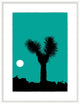 Joshua Tree Dance 4