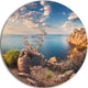Sunny Morning With Old Tree, Seashore Photo Disc Metal Artwork, 36"