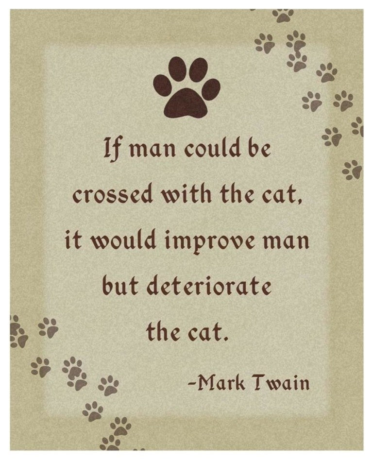 "Mark Twain: Cross Man and Cat" Digital Paper Print by BG.Studio, 18"x22"