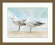 Sea Birds 2, Giclee Reproduction Artwork