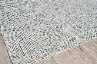 Caprice Handmade Hand-Tufted Wool Black/Ivory Area Rug, 10'x14'