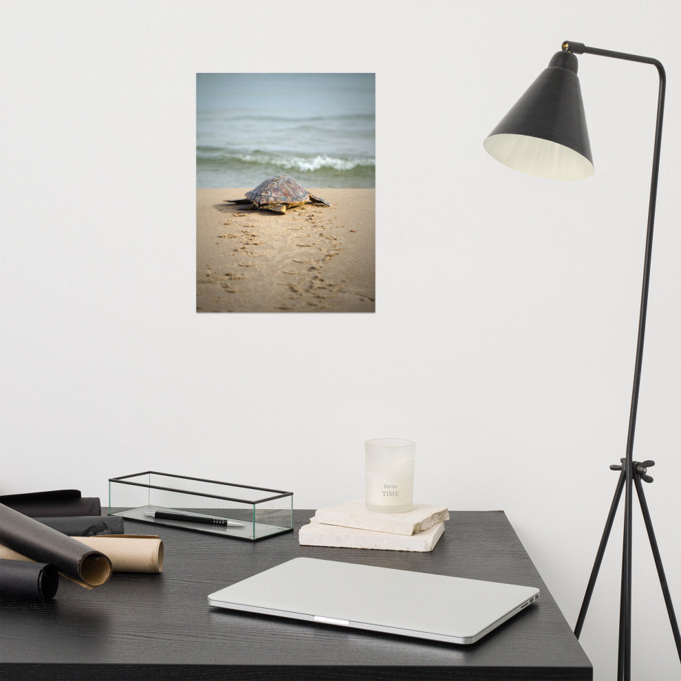 Baby Loggerhead Sea Turtle Beach Ocean Photograph Loose Wall Art Print, 12" X 16"