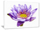 "Hand-Drawn Purple Lotus" Canvas Print, 20"x12"