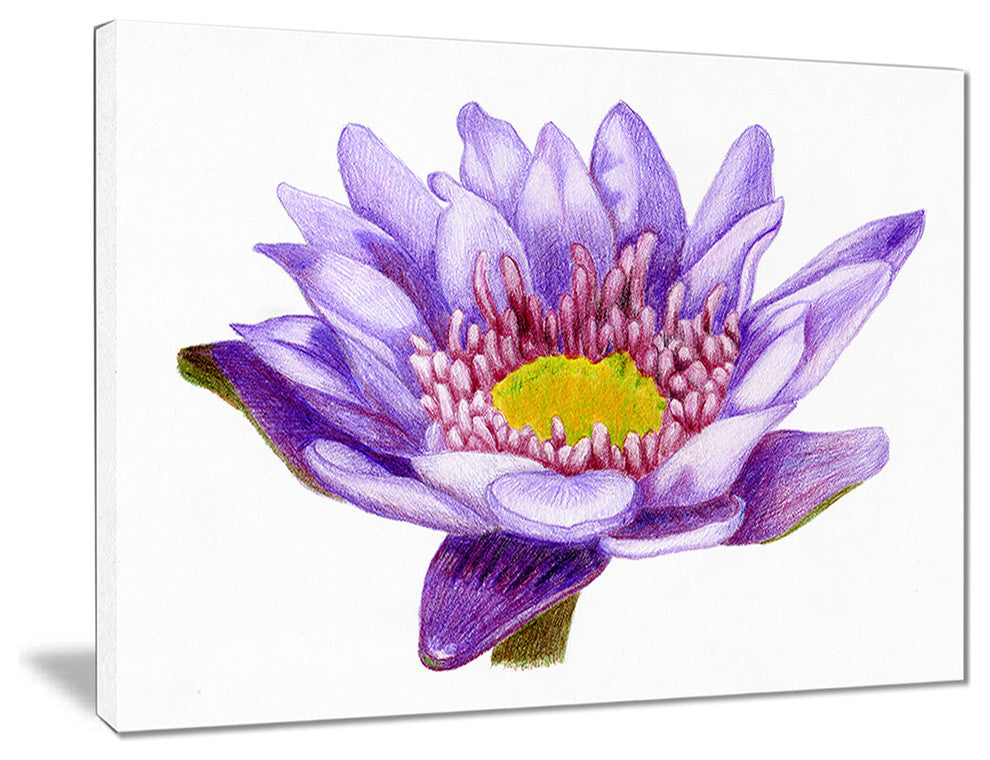 "Hand-Drawn Purple Lotus" Canvas Print, 20"x12"