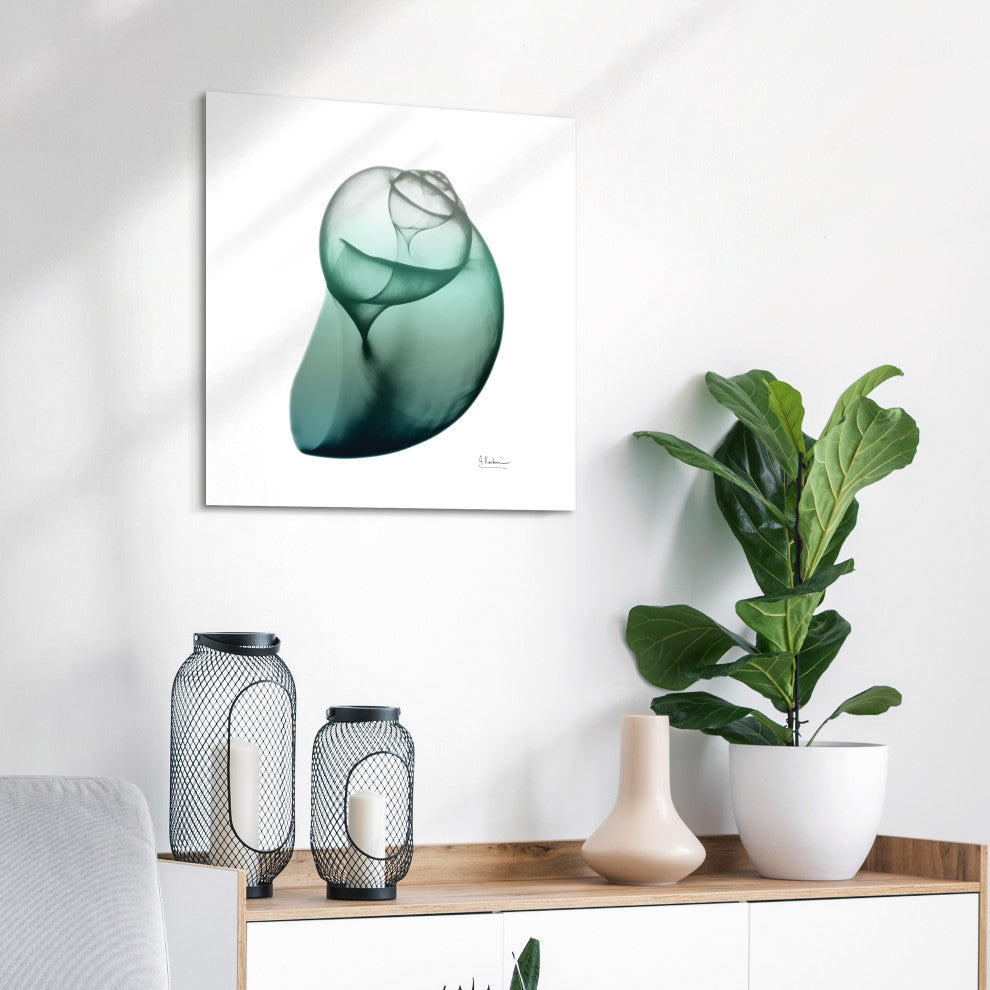 "Shimmering Snail I" Wall Art on Frameless Free Floating Tempered Glass Panel