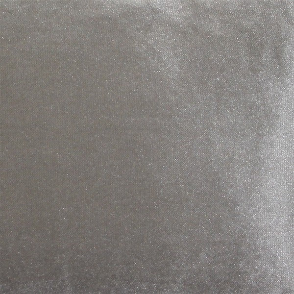 Pillow Decor - Corona Velvet Throw Pillow, Silver, 19"x19"