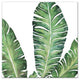 Banana Leaves 12x12 Canvas Wall Art