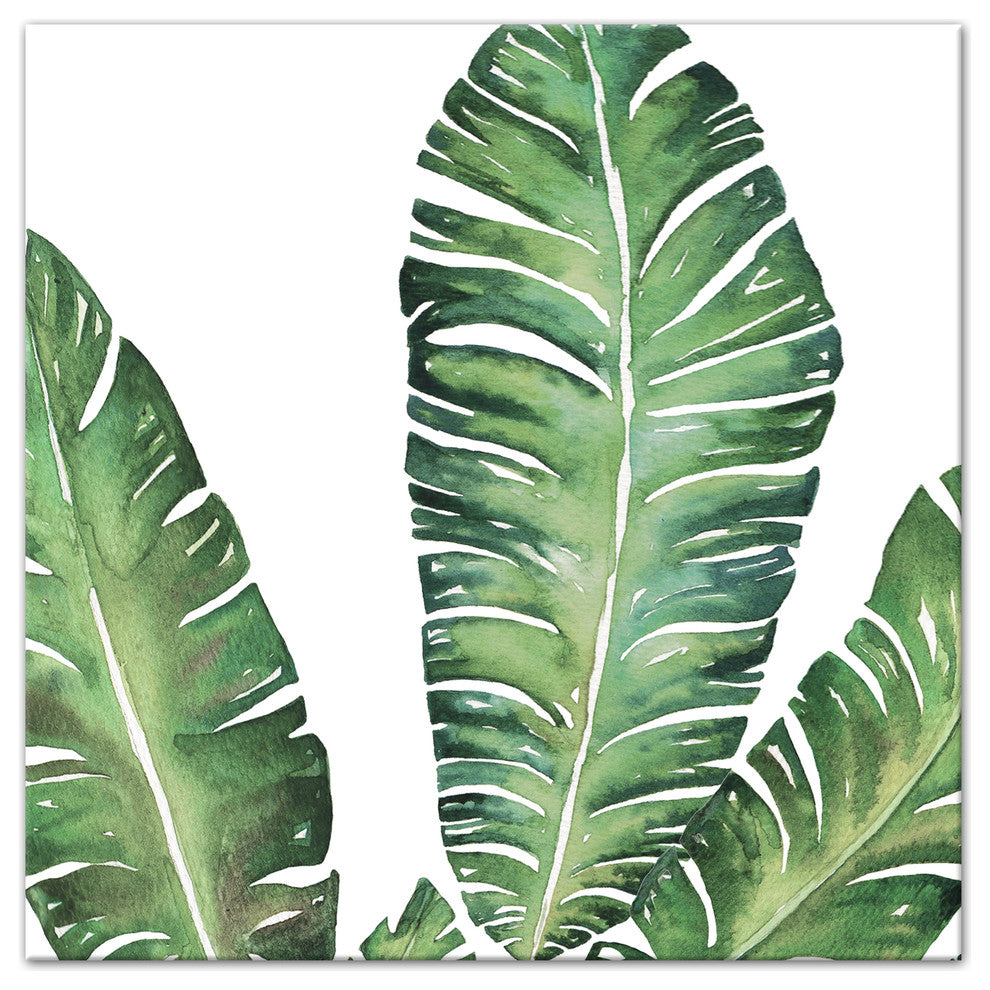 Banana Leaves 12x12 Canvas Wall Art