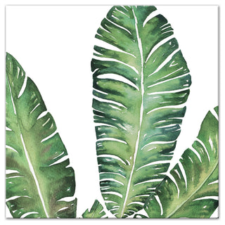 Banana Leaves 12x12 Canvas Wall Art