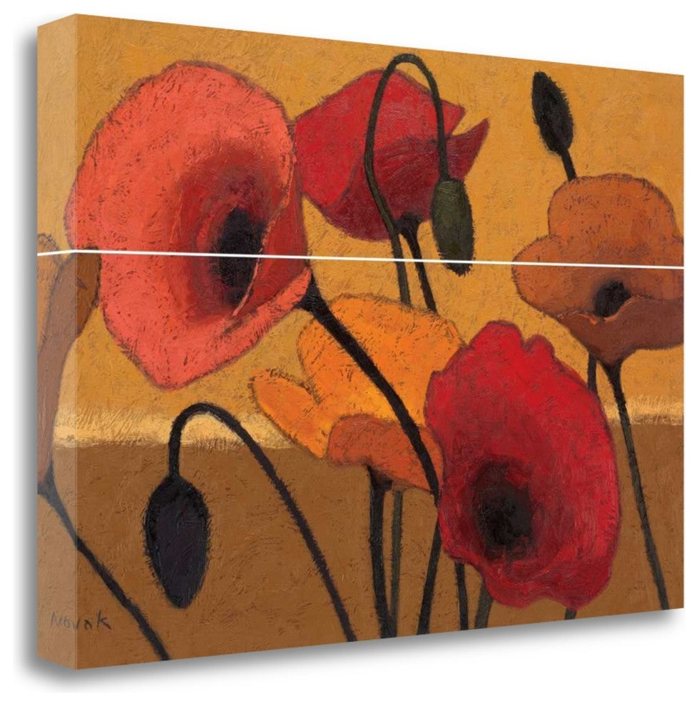 "Poppy Curry III" By Shirley Novak, Giclee Print on Gallery Wrap Canvas