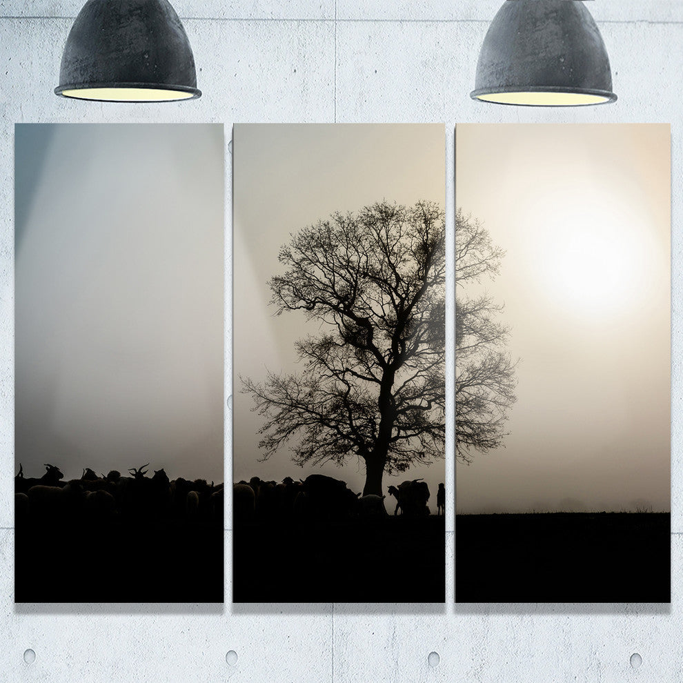 "Frosty Spring Morning Sunrise With Tree" Metal Wall Art, 3 Panels, 36"x28"