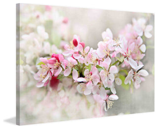 "April Flowers" Print on Canvas by Sylvia Cook