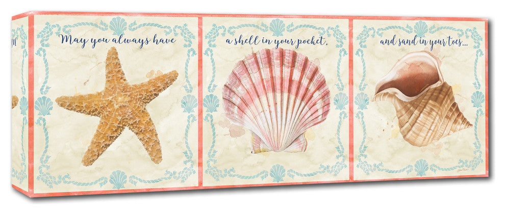 Jean Plout 'Sea Shells 4' Canvas Art, 16x47