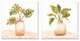 Tranquil Monstera Leaf Herbal Plant Vase Patterned Tabletop, 2pc, each 12 x 12