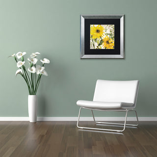 Color Bakery 'Carina I' Matted Framed Art, Silver Frame, Black Mat, 16x16