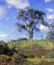 Charles Harold Davis Blithe June, Gallery Wrapped Canvas Print, 20"x25"