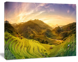 Rice Fields on Terraced Panorama, Landscape Canvas Art Print, 60x40