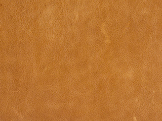 Savion Power Leather Motion Recliner, Saddlebag Coin