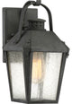 Carriage 1-Light Outdoor Lantern, Mottled Black