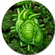 Green Healthy Heart, Contemporary Disc Metal Artwork, 11"