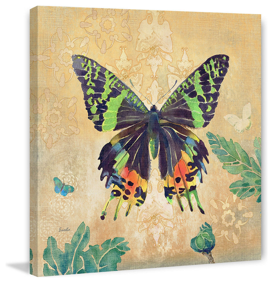 "Madagascar Sunset Butterfly" Painting Print on Canvas by Evelia