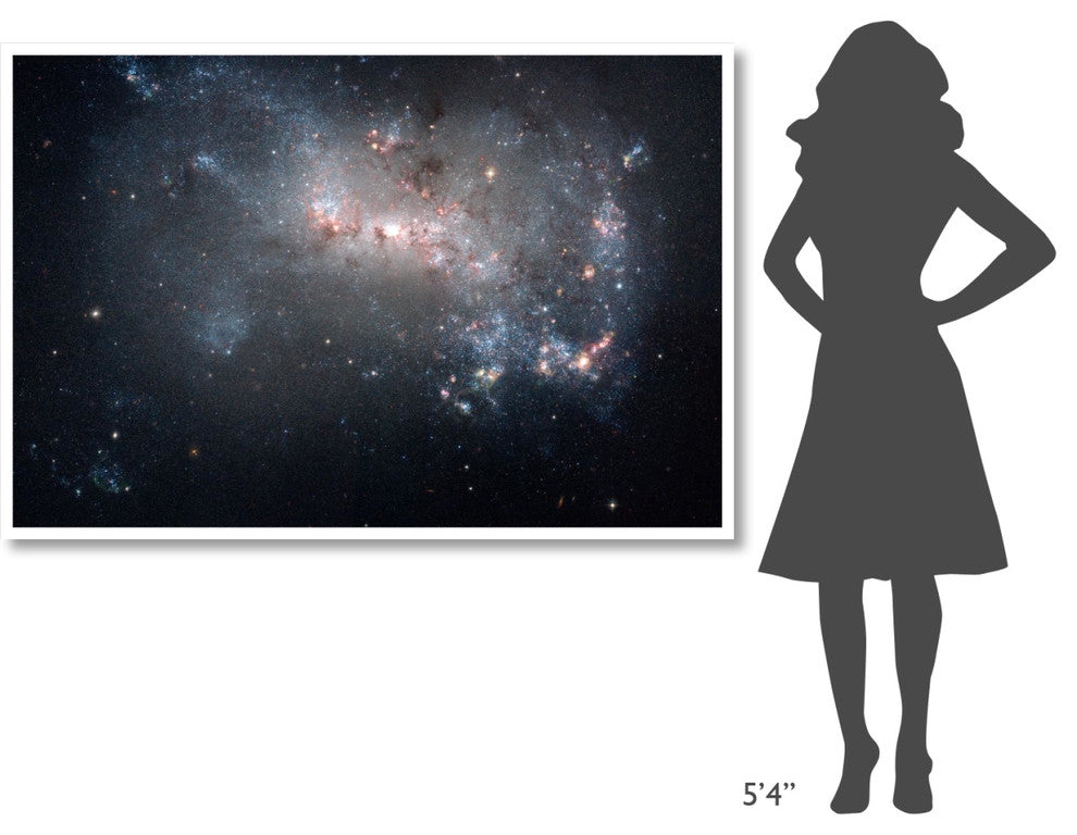 "Stellar Fireworks Ablaze in Galaxy NGC 4449" Print by NASA, 62"x42"