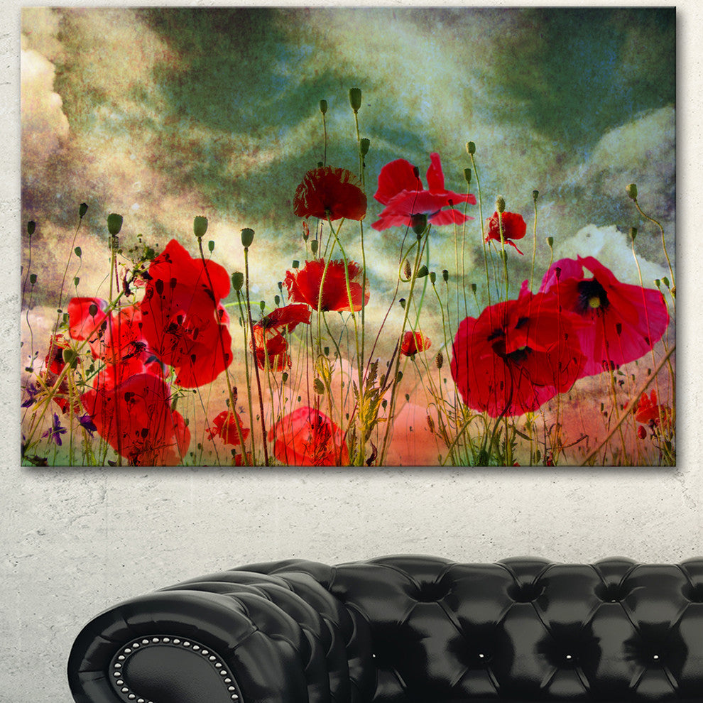 Wild Red Poppy Flowers in Sky, Floral Canvas Art Print, 40"x30"