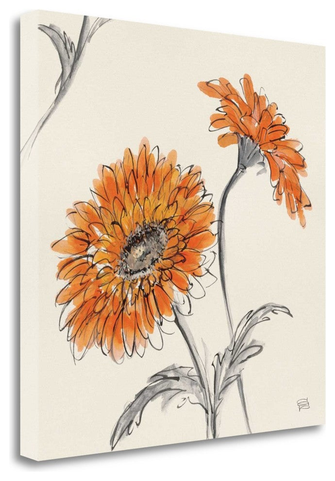 "Orange Gerbera II" By Chris Paschke, Giclee Print on Gallery Wrap Canvas