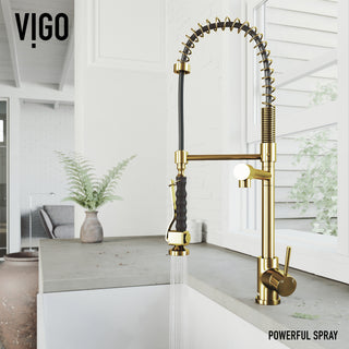 VIGO Zurich 27" H Single Handle Pull-Down Sprayer Kitchen Faucet, Matte Brushed Gold, Without Extras