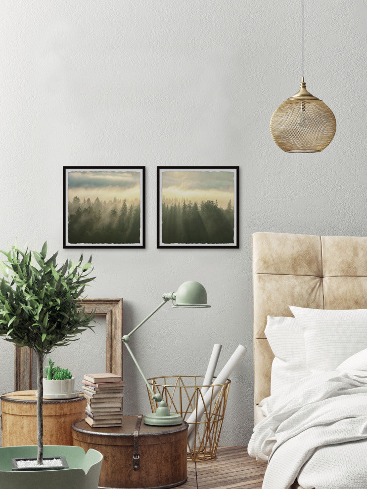 Sunlight Through Trees Diptych, 2-Piece Set, 24x24 Panels