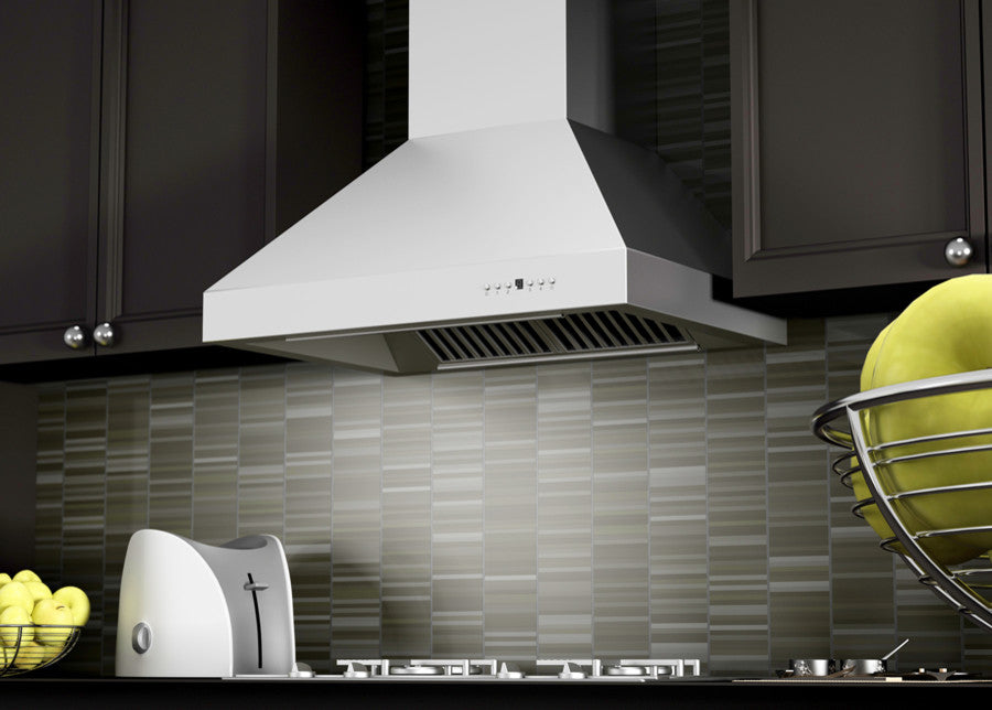 ZLINE 30 in. 400 CFM Wall Mount Range Hood in Stainless Steel (667-30)