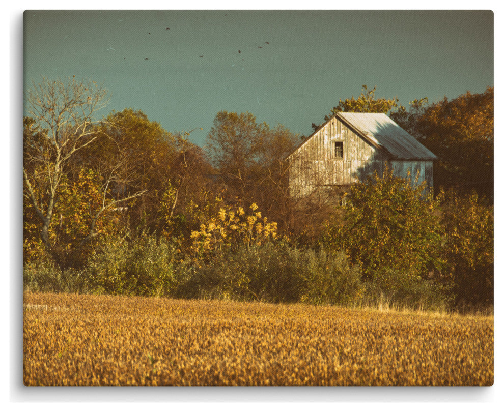 Canvas Wall Decor: Abandoned Barn - Aged Rural Landscape Photo, 16" X 20"
