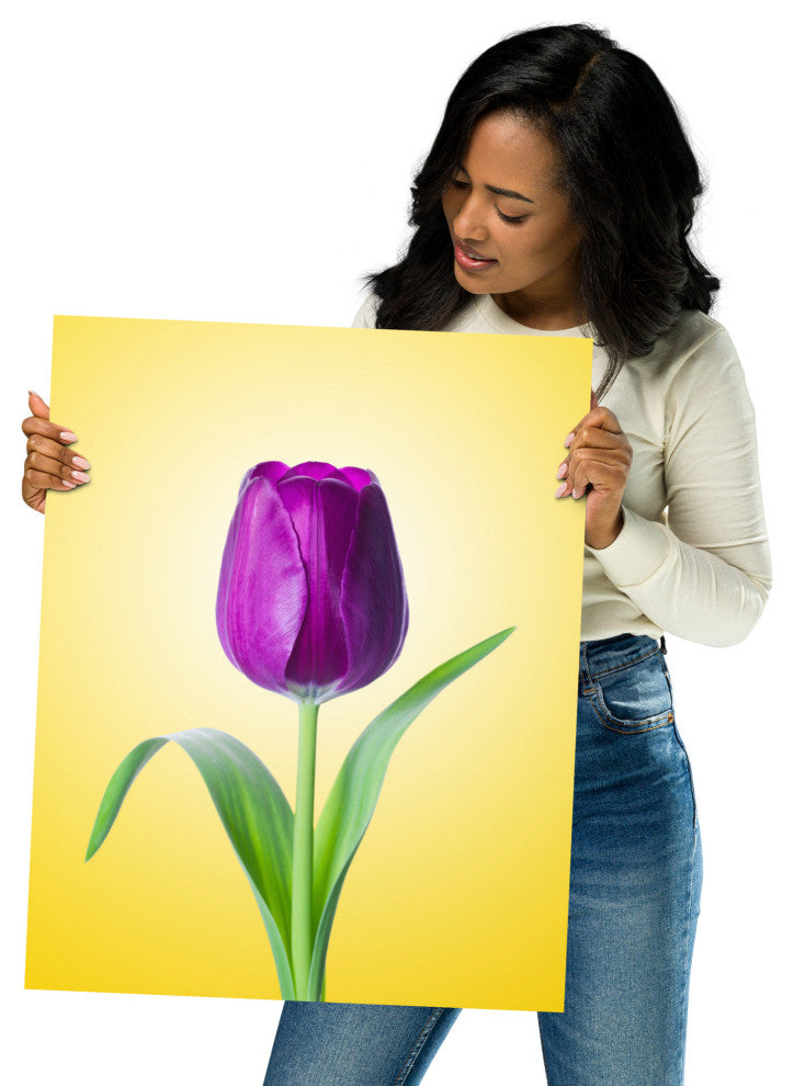 Purple Tulip on Yellow Minimal Floral Nature Photo Loose Wall Art Print, 16" X 20"