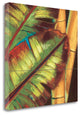 "Tropical Pastel" By Clair Kelly, Giclee Print on Gallery Wrap Canvas